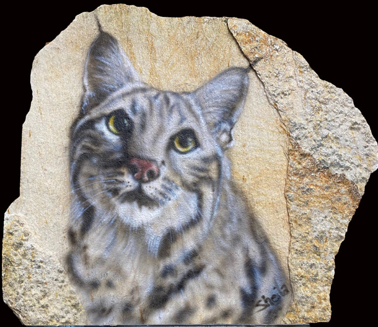 Wildcat airbrushed onto quartzite